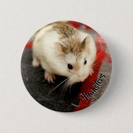 Hammyville - Cute Hamster Knapp