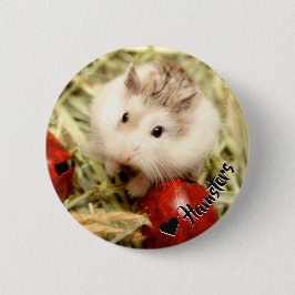 Hammyville - Cute Hamster Knapp