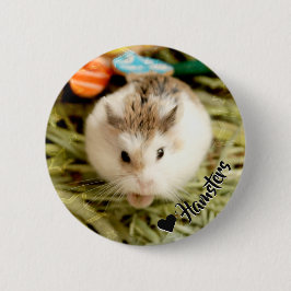 Hammyville - Cute Hamster Knapp