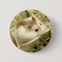 Hammyville - Cute Hamster