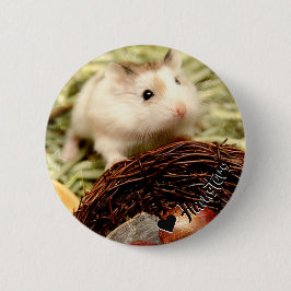 Hammyville - Cute Hamster Knapp