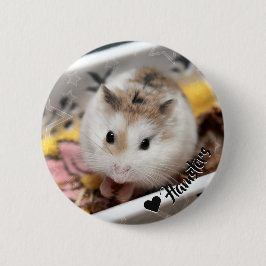 Hammyville - Cute Hamster Knapp