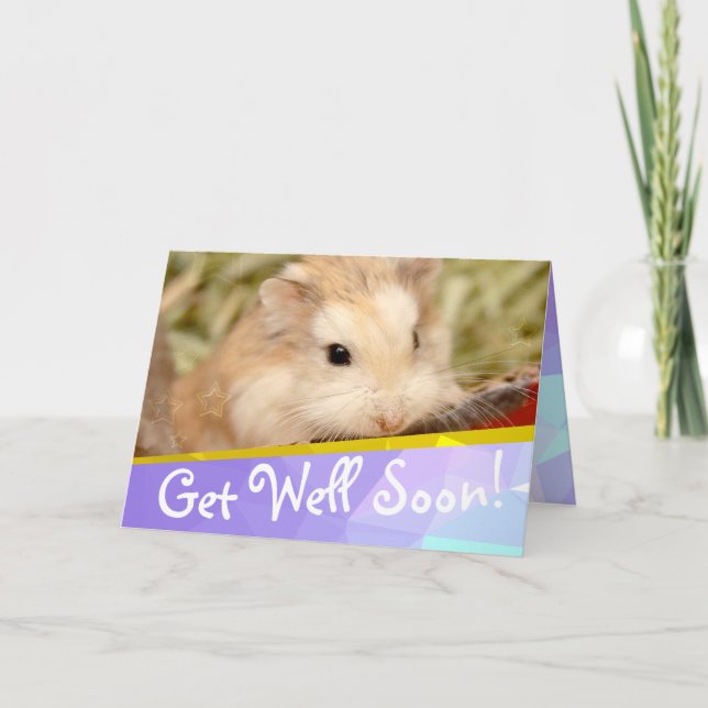 Hammyville - Cute Hamster kommer väl snart kort (Framsida)