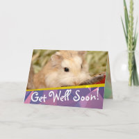 Hammyville - Cute Hamster kommer väl snart kort