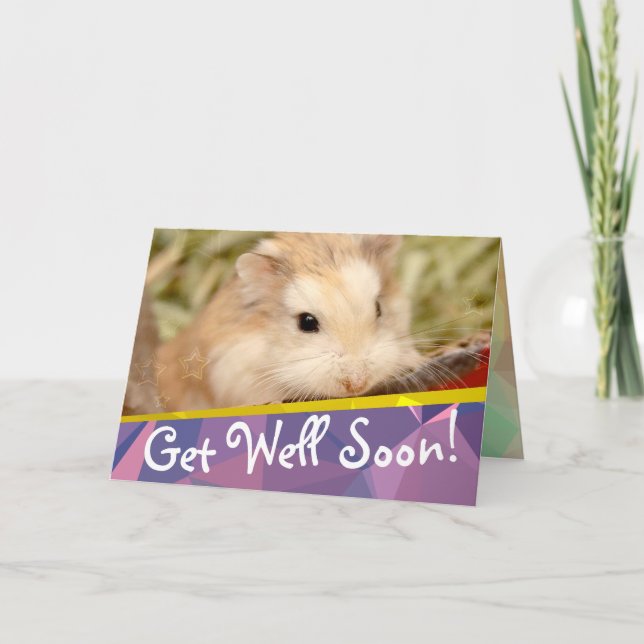 Hammyville - Cute Hamster kommer väl snart kort (Framsida)