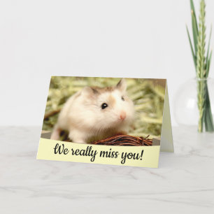 Hammyville - Cute Hamster Kort