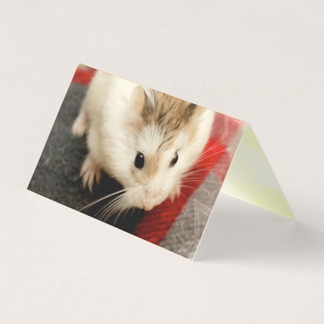 Hammyville - Cute Hamster Kort (Framsida)