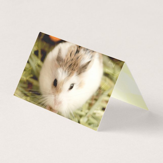 Hammyville - Cute Hamster Kort (Framsida)
