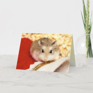Hammyville - Cute Hamster Kort