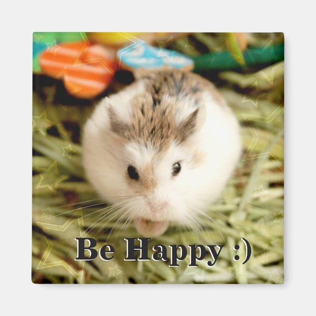 Hammyville - Cute Hamster Magnet (Framsidan)