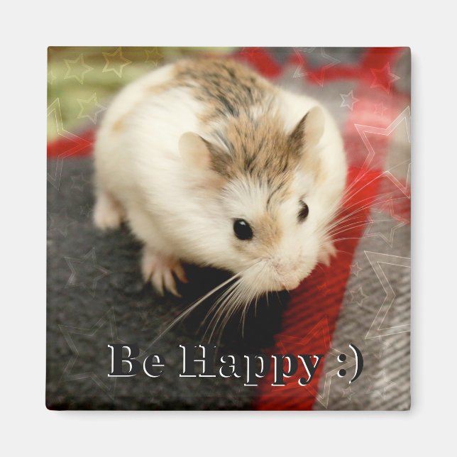 Hammyville - Cute Hamster Magnet (Framsidan)