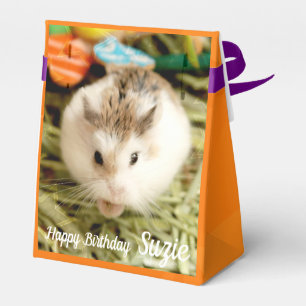 Hammyville - Cute Hamster Presentaskar