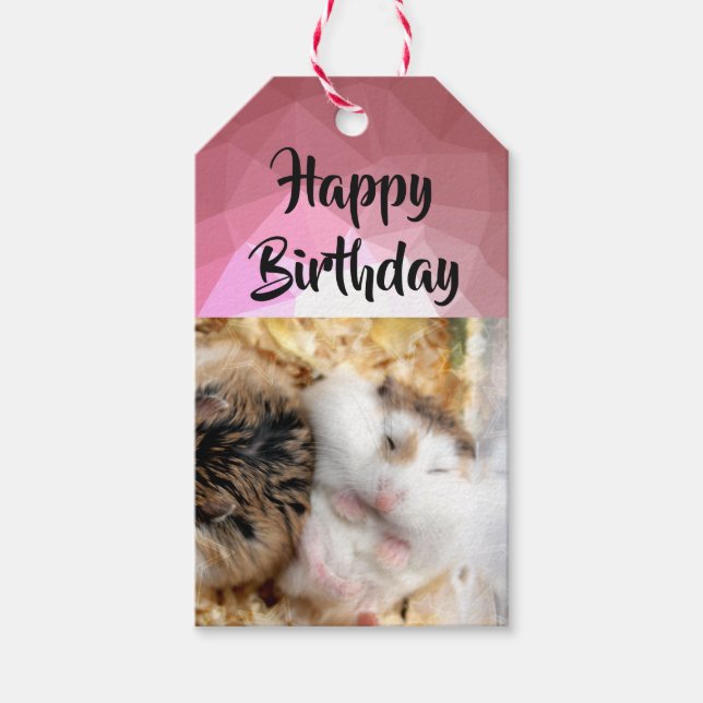 Hammyville - Cute Hamster Presentetikett (Framsidan)