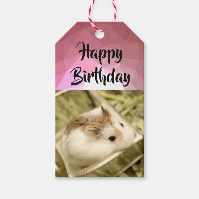 Hammyville - Cute Hamster Presentetikett (Framsidan)