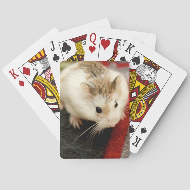 Hammyville - Cute Hamster Spel Kort (Baksidan)