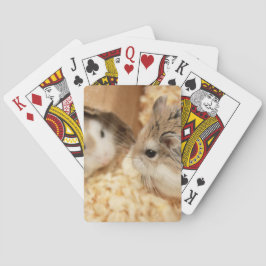 Hammyville - Cute Hamster Spelkort