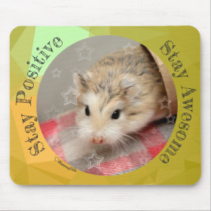 HammyVille - Cute Hamster Stanna Fantastisk Musmatta