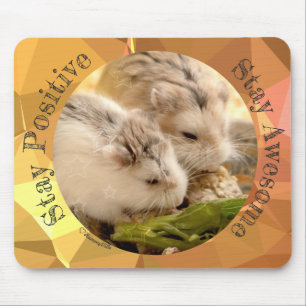 HammyVille - Cute Hamster Stanna Fantastisk Musmatta