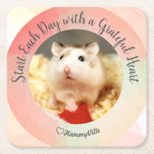 HammyVille - Cute Hamster startar varje dag tacksa