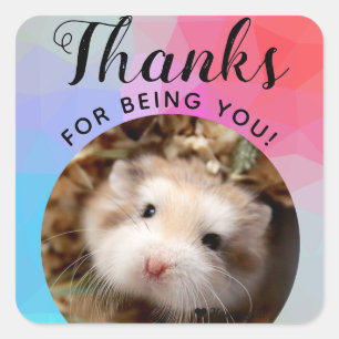 HammyVille - Cute Hamster Tack för att du är du Fyrkantigt Klistermärke