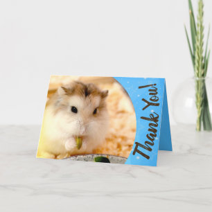 Hammyville - Cute Hamster Tack Kort