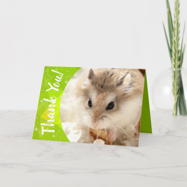 Hammyville - Cute Hamster Tack Kort (Framsida)