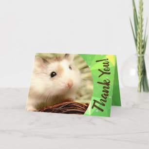 Hammyville - Cute Hamster Tack Kort