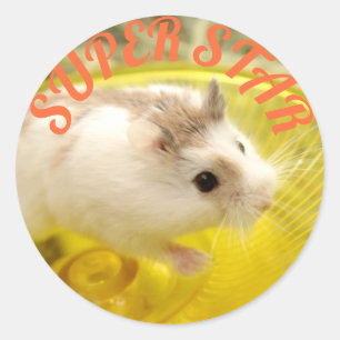 Hammyville - Cute Hamster Toppen Star Runt Klistermärke