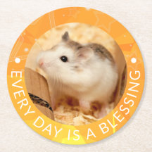 Hammyville - Cute Robo Hamster