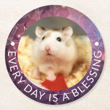 Hammyville - Cute Robo Hamster