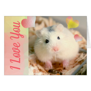 HammyVille - Cute Robo Hamster Valentine Hälsningskort