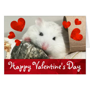 HammyVille - Cute Robo Hamster Valentine Hälsningskort