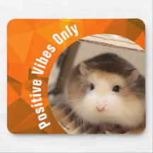 HammyVille - Endast Cute Hamster Positive Vibes