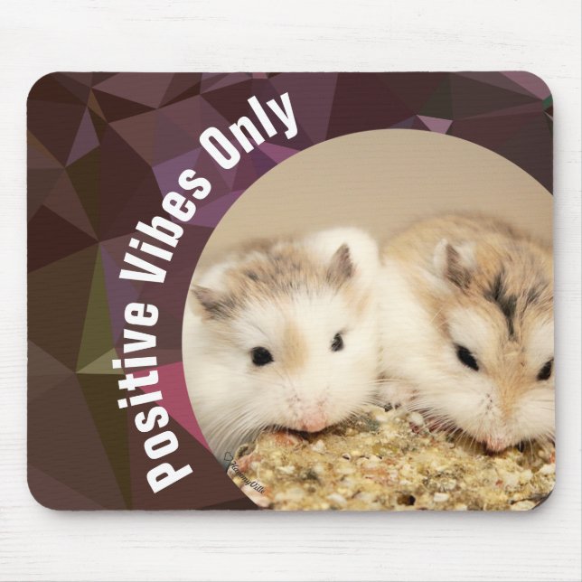 HammyVille - Endast Cute Hamster Positive Vibes Musmatta (Framsidan)