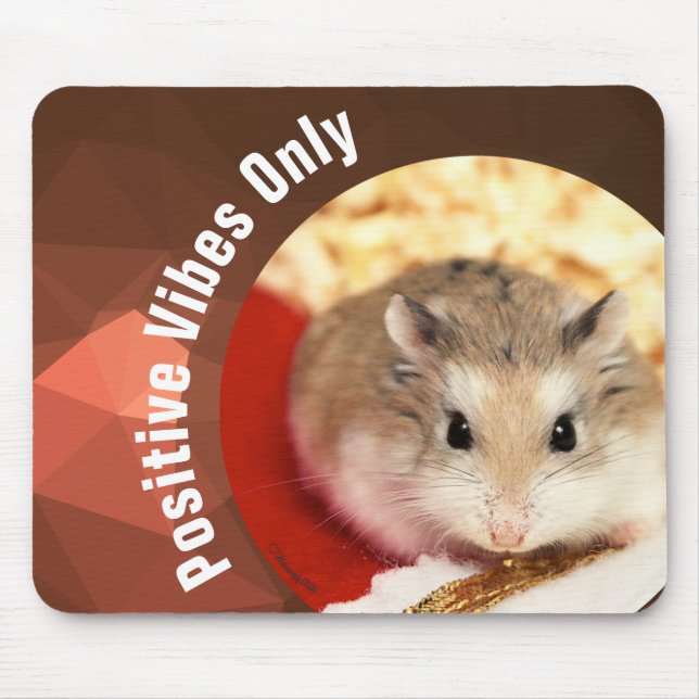 HammyVille - Endast Cute Hamster Positive Vibes Musmatta (Framsidan)