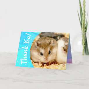 Hammyville - gulligt Hamstertack Tack Kort