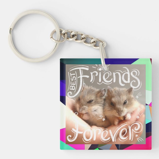 Hammyville - Hamster Best Friends Forever (Framsidan)