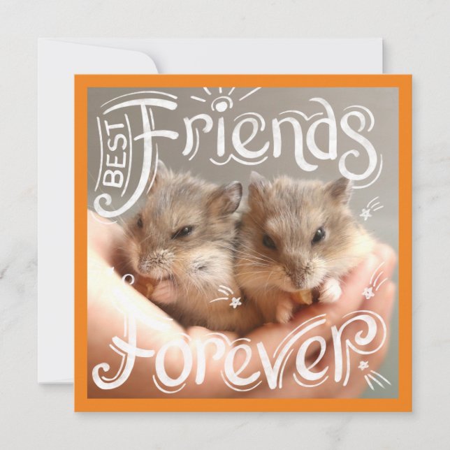 Hammyville - Hamster Best Friends Forever (Framsida)