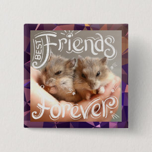 Hammyville - Hamster Best Friends Forever Knapp