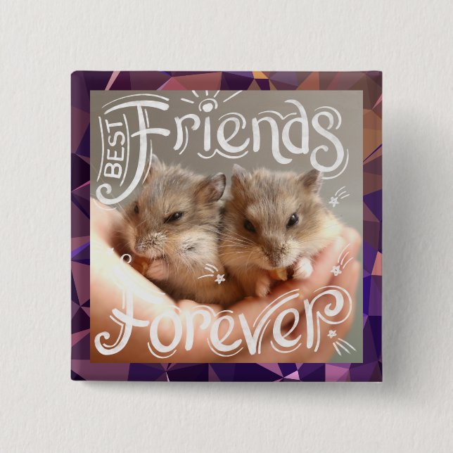Hammyville - Hamster Best Friends Forever Knapp (Framsida)