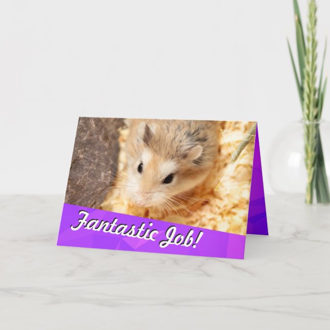 Hammyville - Hamster Grattiss Kort (Framsida)