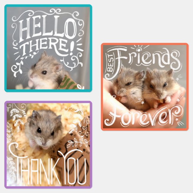 Hammyville - Hamsters Hej, BFF, Tack Klistermärke (Grupp)