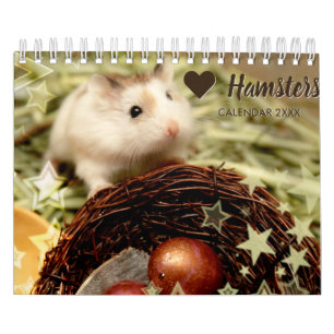 Hammyville - ljusa stjärnor kalender