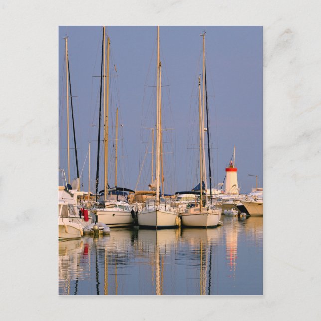 Hamnen i Hyères les Palmiers Vykort (Framsida)