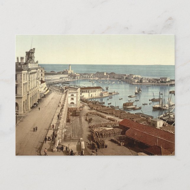 Hamnen och beundran, Alger, Algeriet Vykort (Framsida)