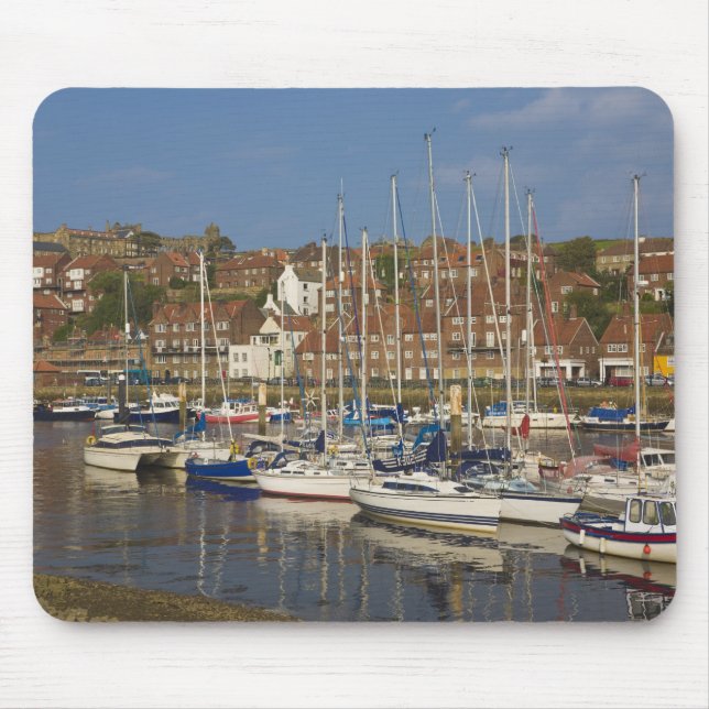 Hamnen, Whitby, North Yorkshire, England Musmatta (Framsidan)