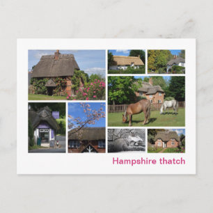 Hampshire thatch vykort