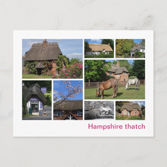 Hampshire thatch vykort (Framsida)