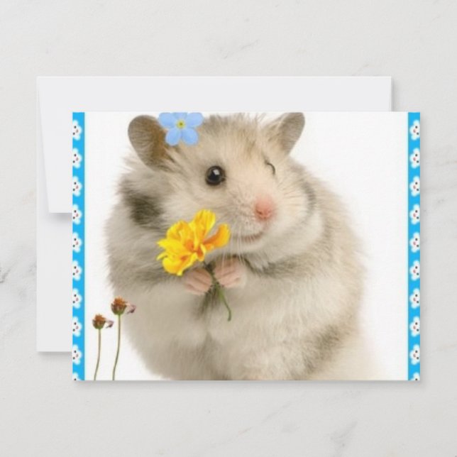 hamster (Framsida)