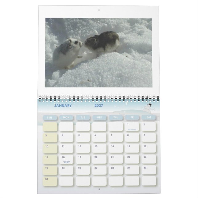 Hamster1, HAMSTERS, 2008 Calender Kalender (Jan 2027)